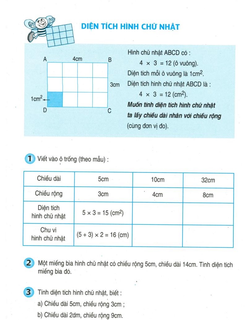 Các dạng bài tập thường gặp về diện tích hình chữ nhật