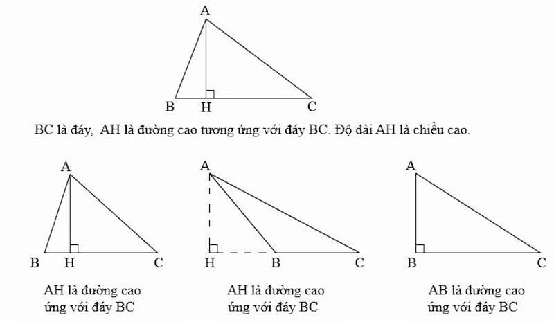 Chiều cao tam giác là gì và vai trò quan trọng trong hình học phẳng?