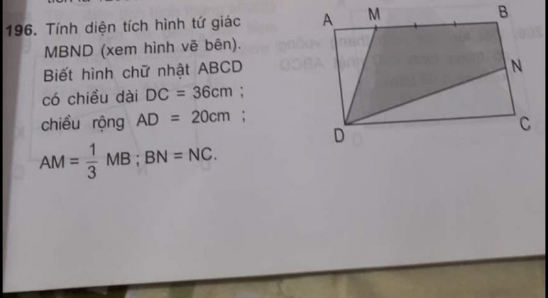 Diện tích các loại tứ giác đặc biệt khác