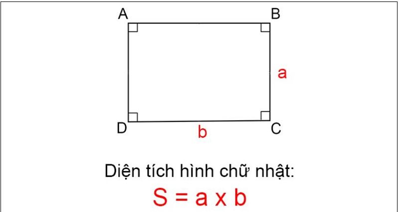 Hướng dẫn chi tiết cách tính diện tích hình chữ nhật cho học sinh tiểu học