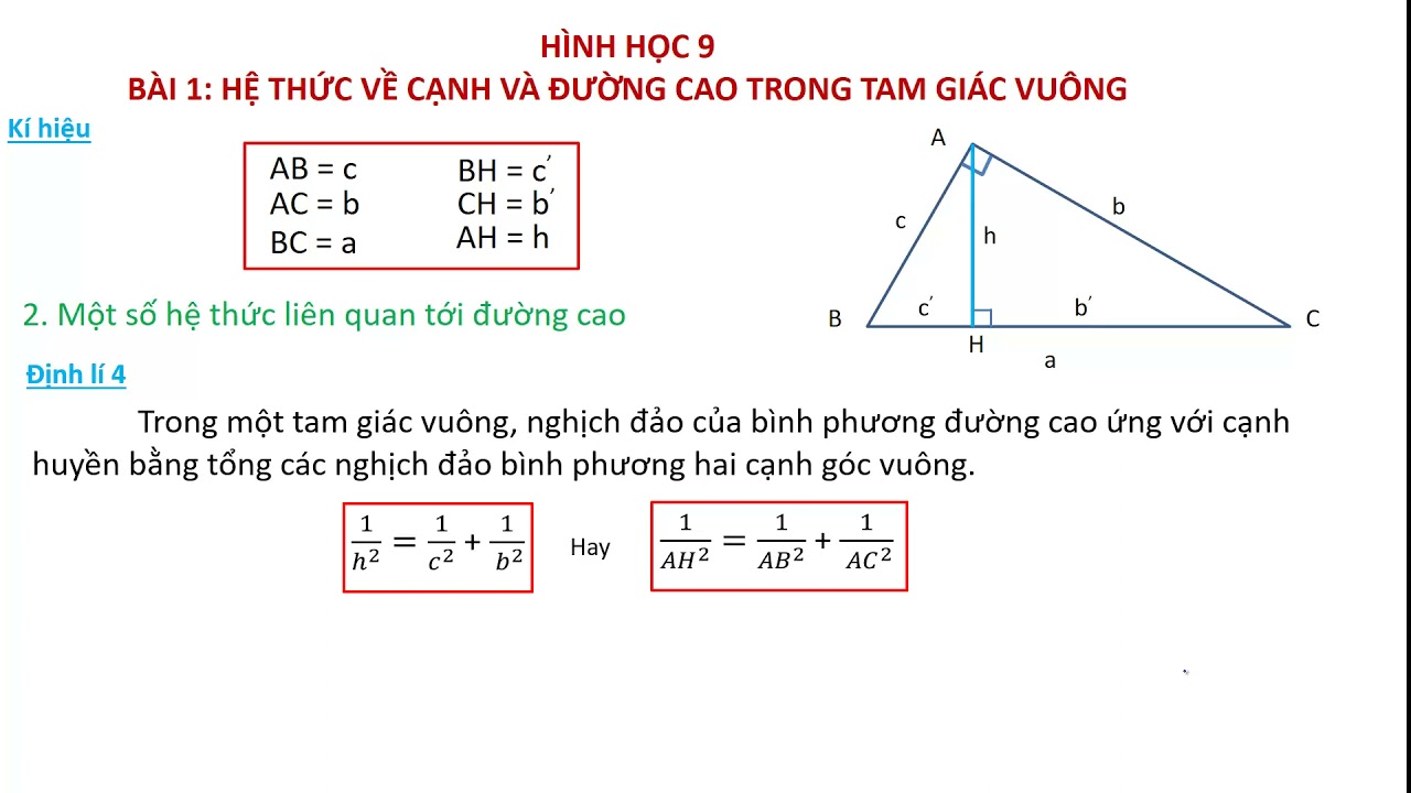 Phương pháp tính chiều cao tam giác vuông và bài tập minh họa