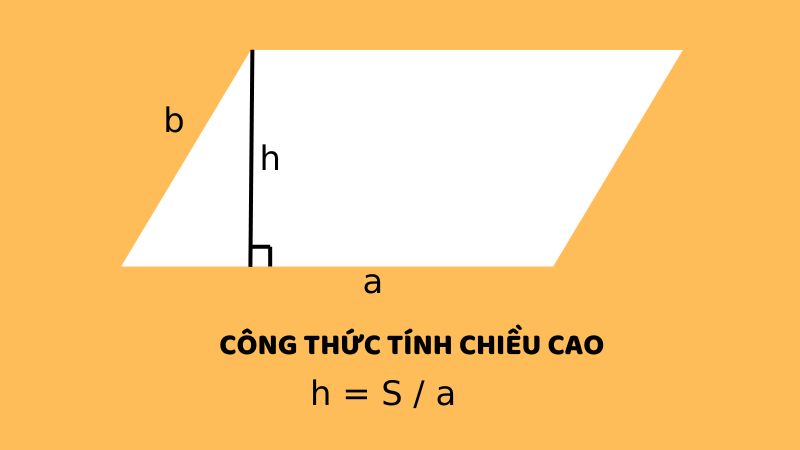 Phương pháp xác định chiều cao và cạnh đáy của hình bình hành