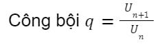 công thức tổng cấp số nhân