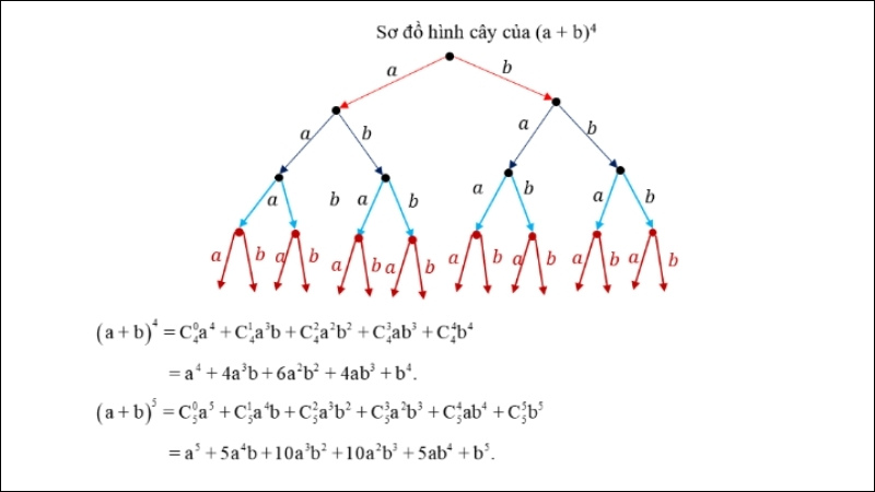 lý thuyết nhị thức newton