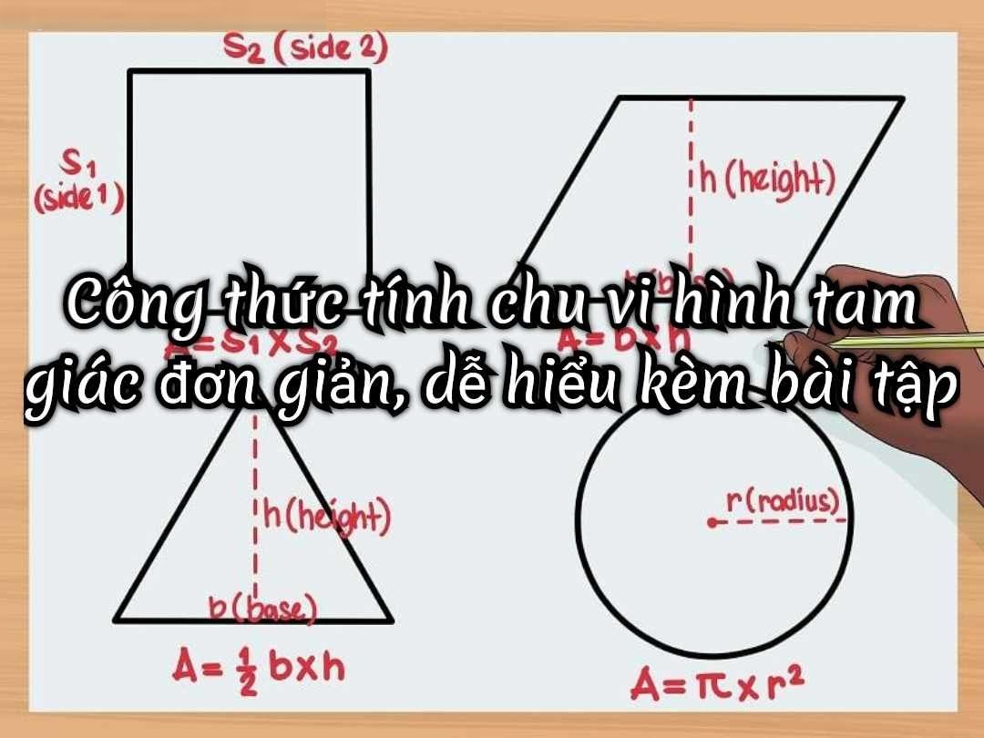 Chu vi tam giác là gì và tầm quan trọng của nó trong hình học 1