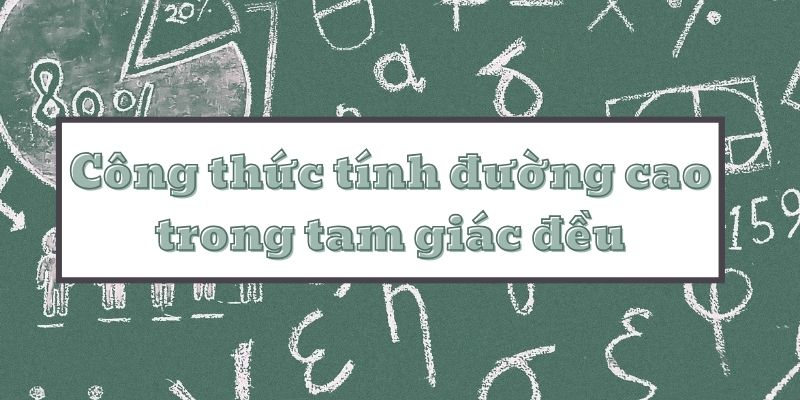 Học công thức tính đường cao trong tam giác đều và các tính chất quan trọng cần nhớ